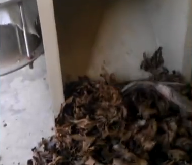 ����ե�͙C